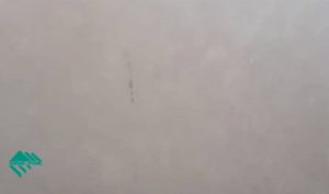 Gohara Limestone
